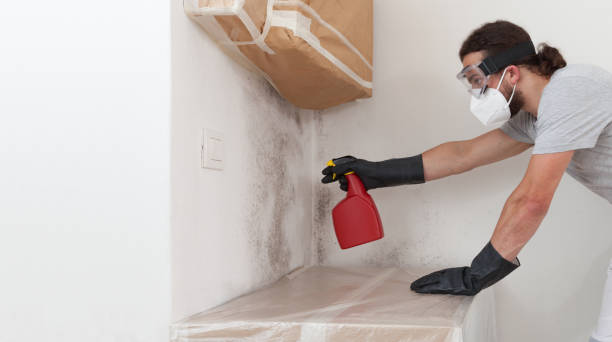 Professional Black Mold Removal technician working in Wantagh, NY